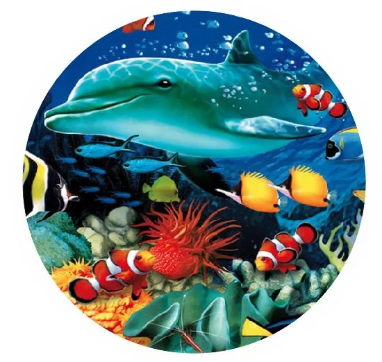 Earrings CT19 Fish Coaster Iris Fashion Jewelry