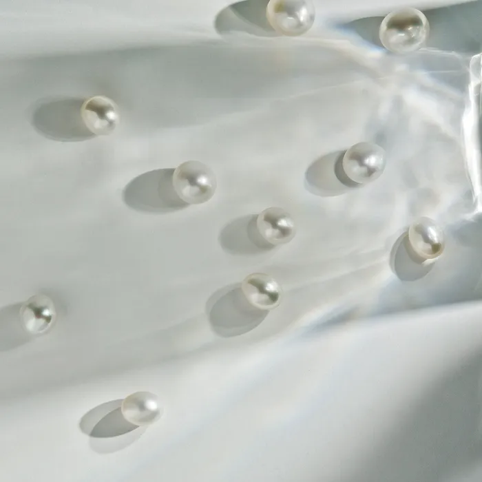 Top Grade Drop Shape Australian White South Sea Pearl WA00058 Pearly Lustre Earrings