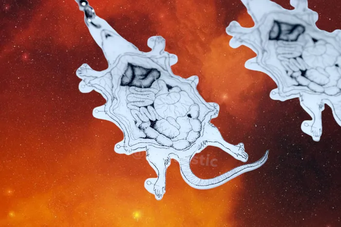 Earrings Sam Makes Things Halloween Horror Stylized Earrings Collaboration with Kate Graves